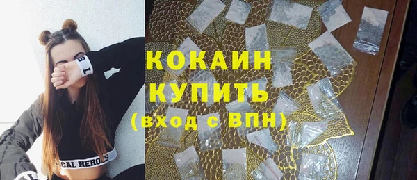 соль ск Алексин