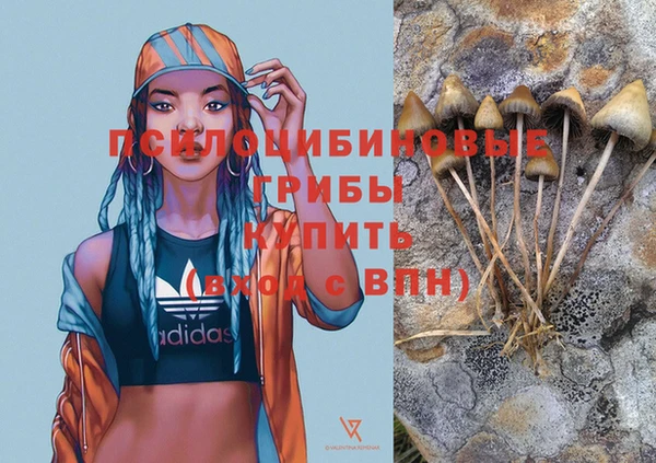 соль курить ск Алзамай