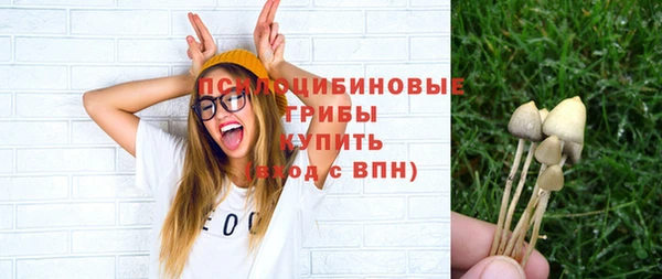 соль ск Алексин